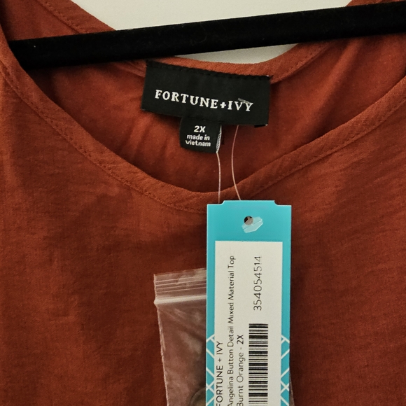 Chic Rust Button-Detail Blouse - Picture 3 of 3